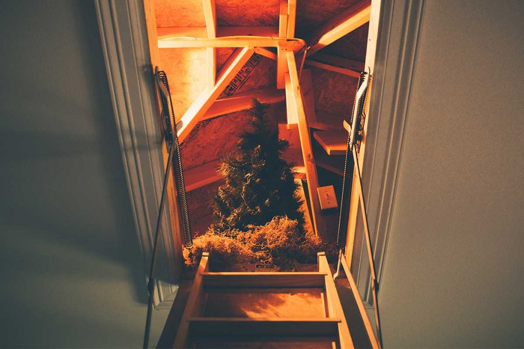 attic door